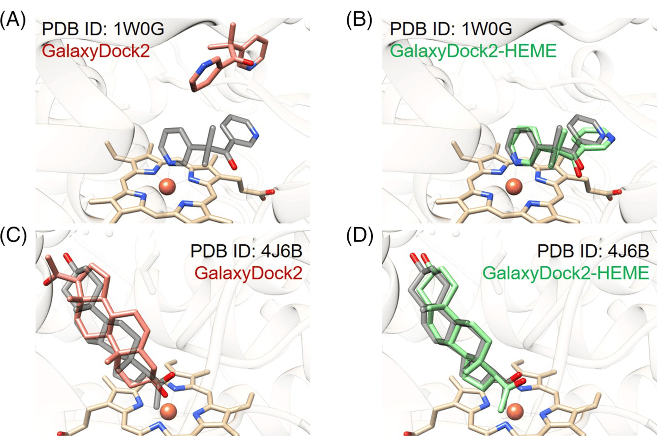 GalaxyDock2-HEME: Protein-ligand docking for heme proteins